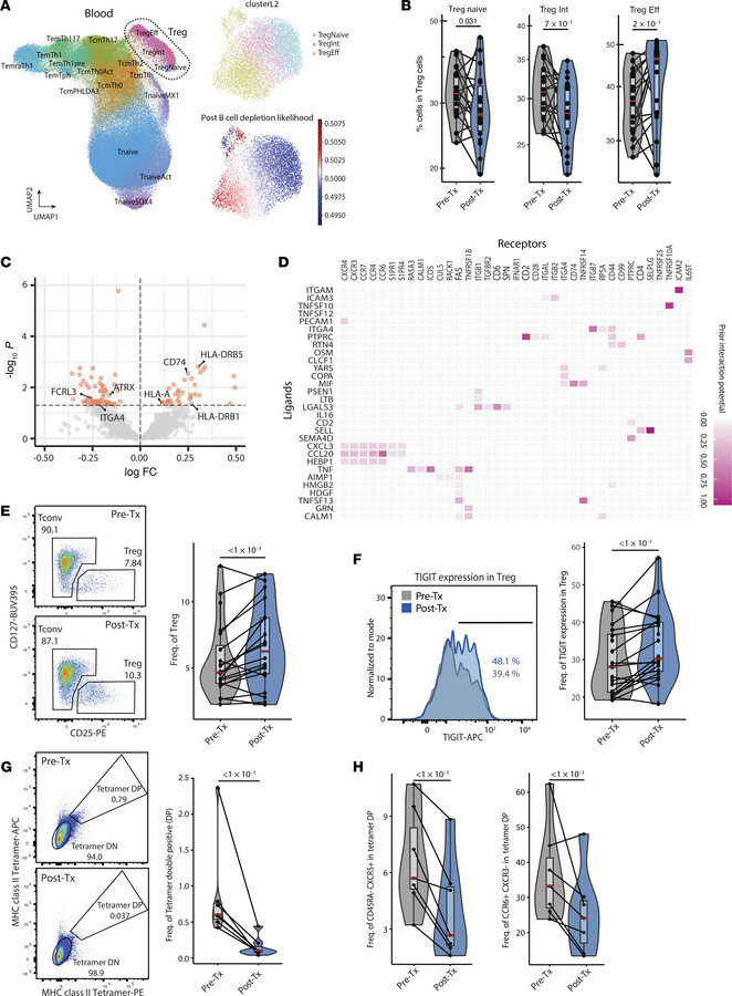 B cell depletion induces an increase in TIGIT+ Tregs and reduces autorea...