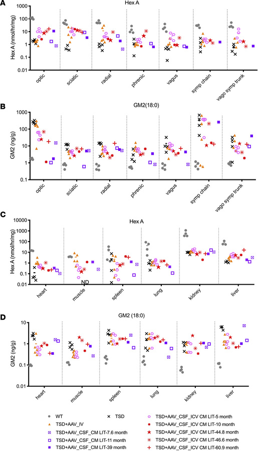 HexA activity and GM2 ganglioside levels in the nerves and peripheral or...