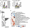 Temporal-specific transcriptional dysregulation in AR113Q spinal cord cells