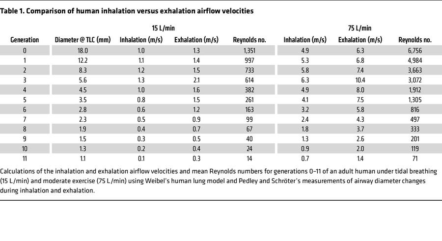 Comparison of human inhalation versus exhalation airflow velocities