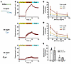 Concentration dependence of airflow-mediated mucus transport.