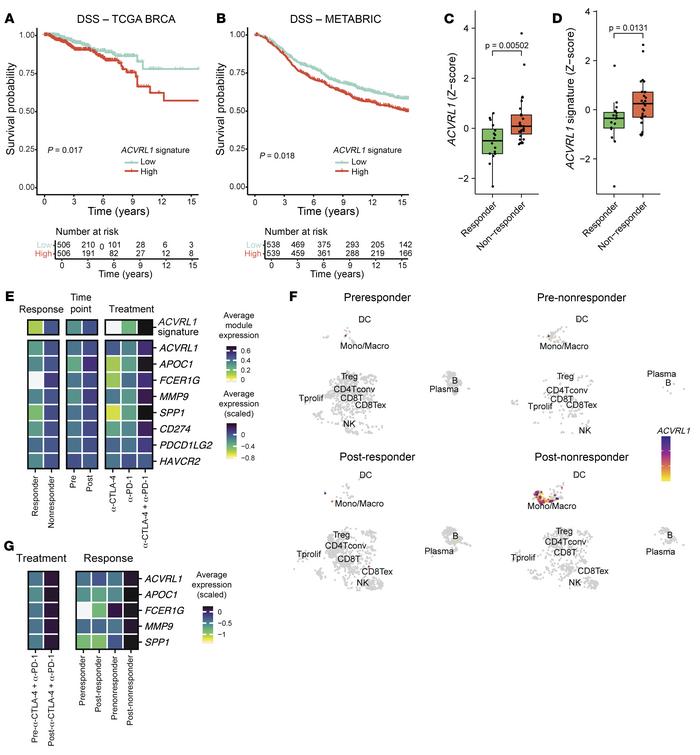 ACVRL1-expressing TAMs display an immunosuppressive phenotype associated...