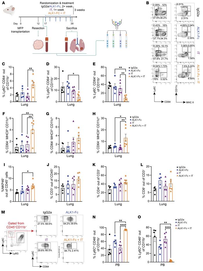 Antiangiogenic IT elicits tumor-specific and systemic effects on the imm...