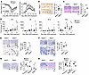 NFAT5 protects mice against DSS-induced colitis.