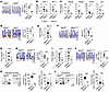 NFAT5 facilitates mucin and antimicrobial compound production in goblet and