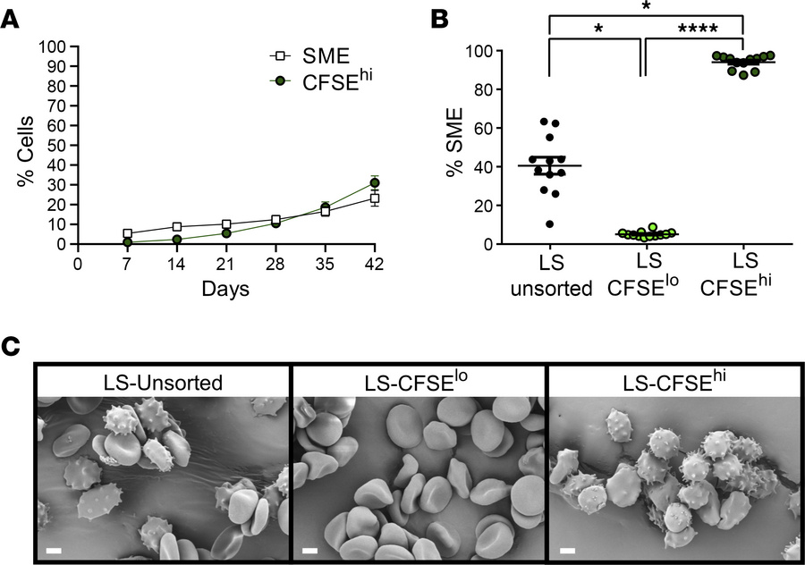 CFSEhi RBCs are storage-induced micro-erythrocytes that can be sorted by...