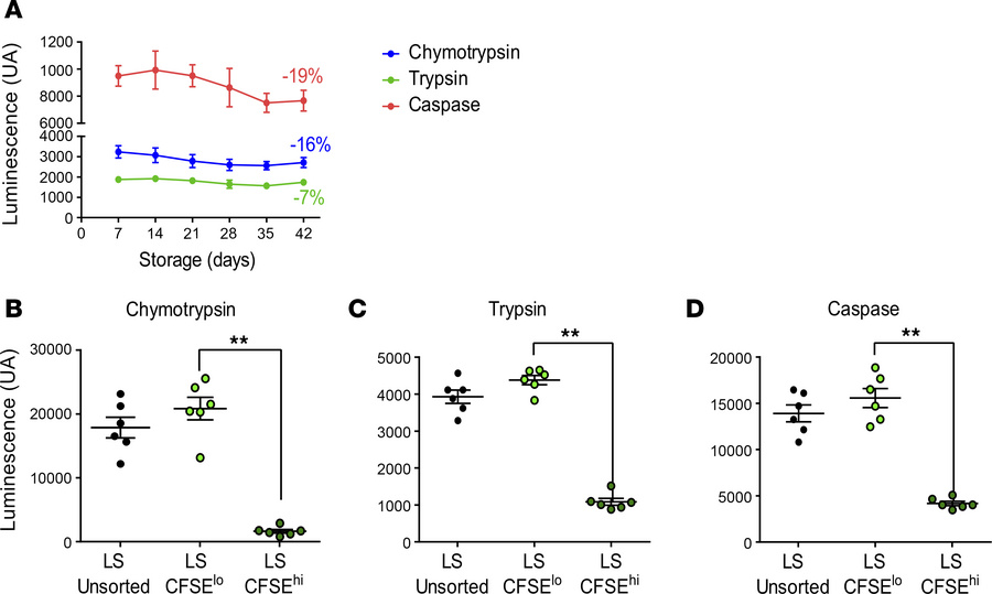 Proteasomal degradation capacity decreases during storage, especially in...