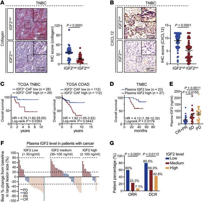 High levels of IGF2 are positively correlated with an unfavorable progno...