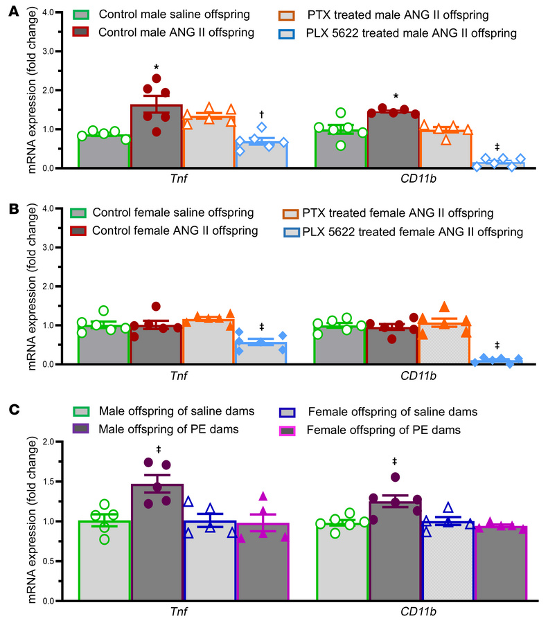 Hippocampal pro-inflammation with prenatal ANG II or PE and modulation b...