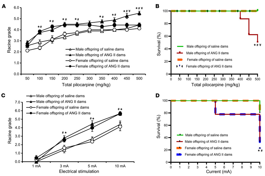 Seizure induction in offspring from ANG II–treated dams.
Increased sensi...
