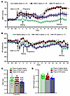 Maternal ANG II– or PE-induced GH and their effects on the neonates.
