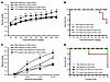 PTX rescue of male offspring seizure phenotypes.