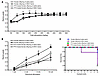 PTX rescue of female offspring seizure phenotypes.