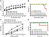 PLX5622 rescue of male offspring seizure phenotypes.
