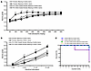 PLX5622 rescue of female offspring seizure phenotypes.