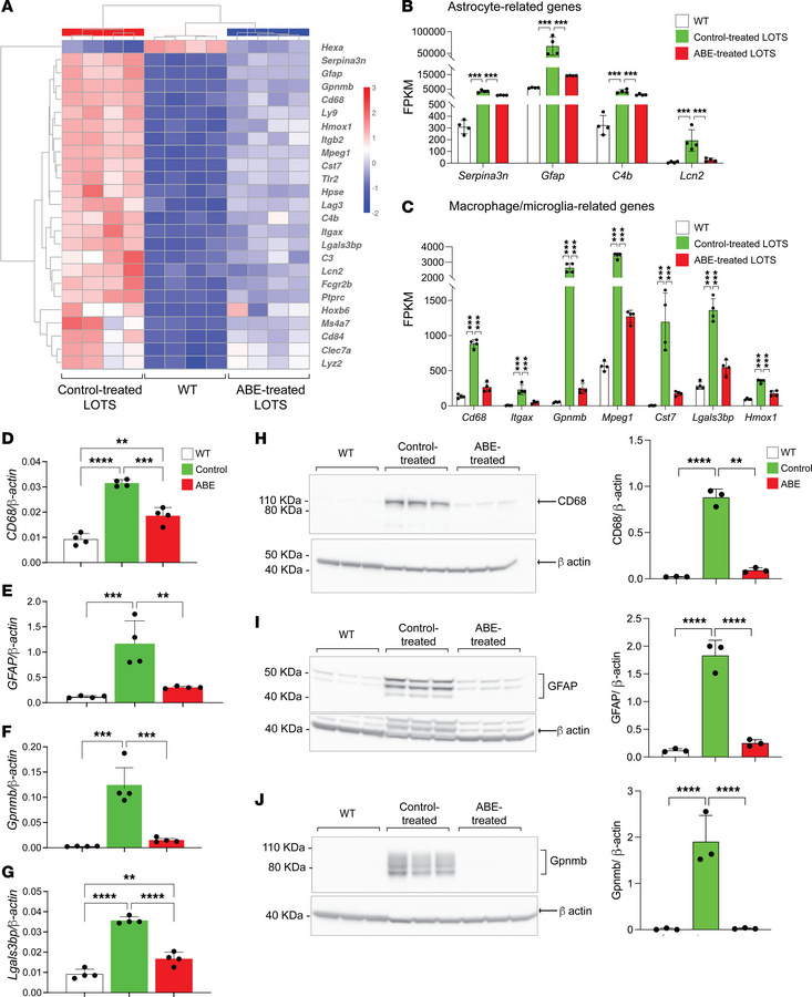 Base-editor treatment reduces brain expression of neuroinflammation mark...