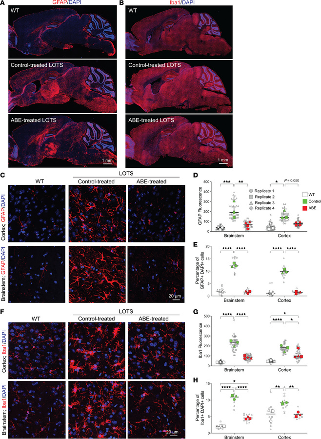 Base-editor treatment reduces glial-cell response in the brain of LOTS m...