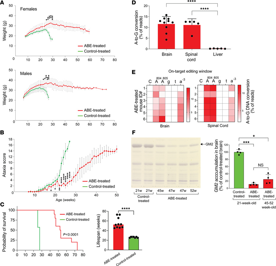 Base-editor treatment mitigates disease manifestations and prolongs the ...