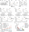 KIFC2 boosts the growth-promoting and drug-resistant phenotypes of HR+/HER2