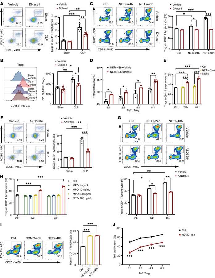 The NDMC was sufficient for regulating Tregs.
(A and B) Mice in the inte...