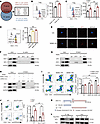 Cell surface ENO1 interacted with MPO to navigate the effects of NDMC on Tr
