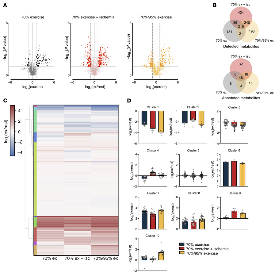 Untargeted metabolomics unveil distinct alterations in intramuscular met...