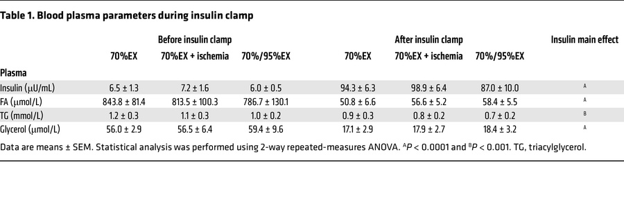 Blood plasma parameters during insulin clamp