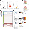Untargeted metabolomics unveil distinct alterations in intramuscular metabo