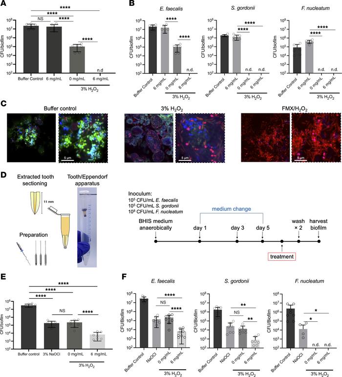 Bioactivity of FMX nanozymes on in vitro and ex vivo mixed-species biofi...