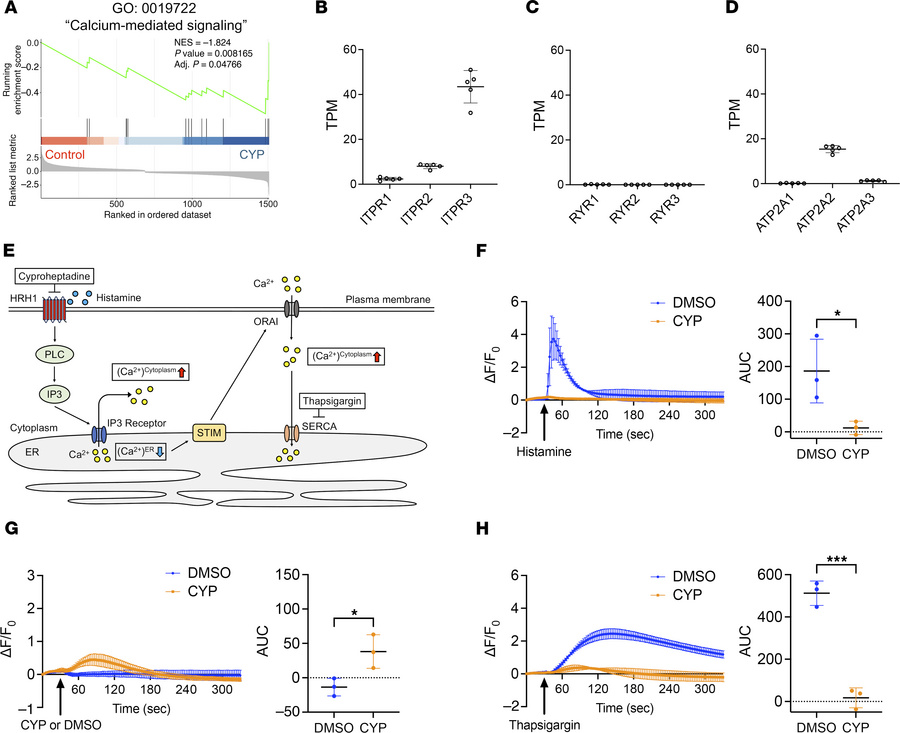 Cyproheptadine regulation of calcium signaling.
(A) GSEA showing inhibit...