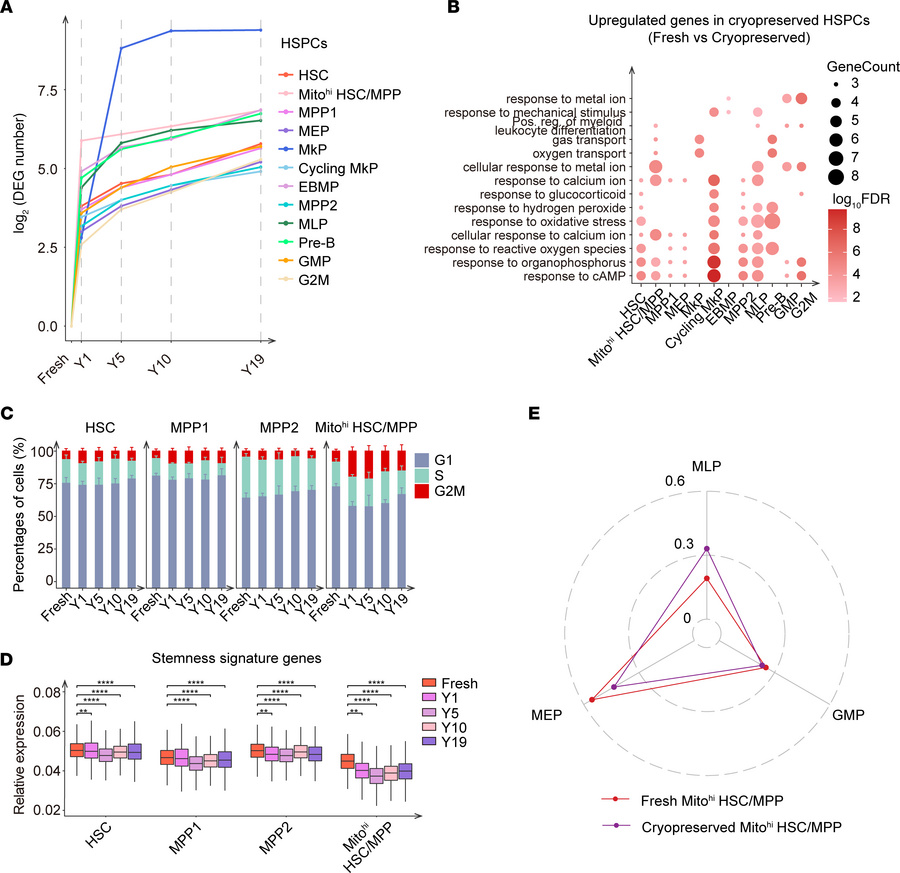 Substantial transcriptomic variations occur in HSPCs after cryopreservat...