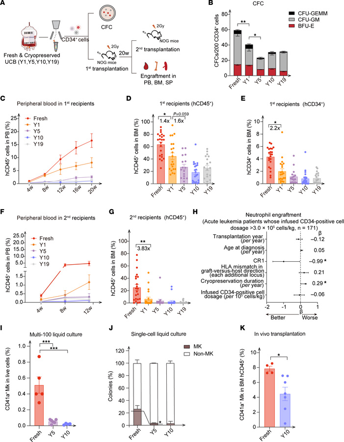 Decreased hematopoietic reconstitution and Mk production of HSPCs during...