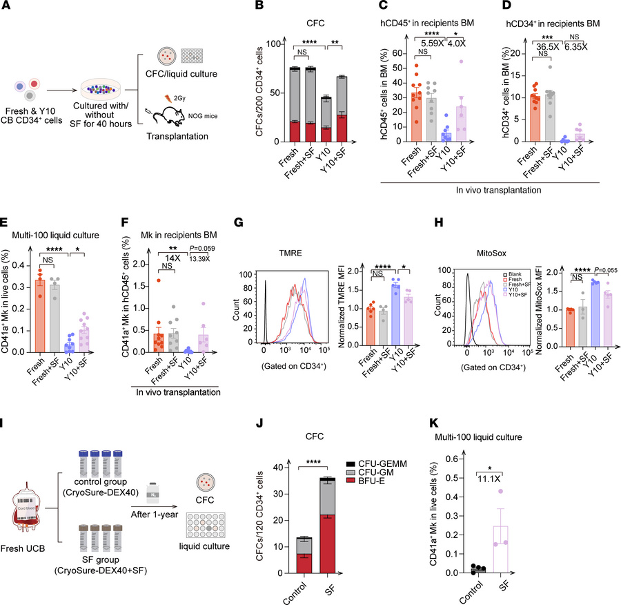 Impaired function of cryopreserved, UCB-derived HSPCs can be ameliorated...