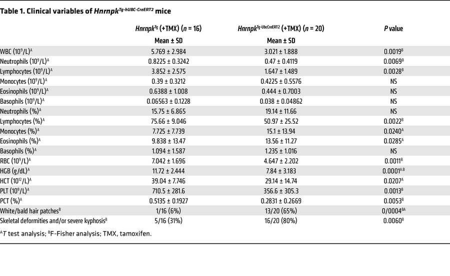 Clinical variables of HnrnpkTg-hUBC-CreERT2 mice
