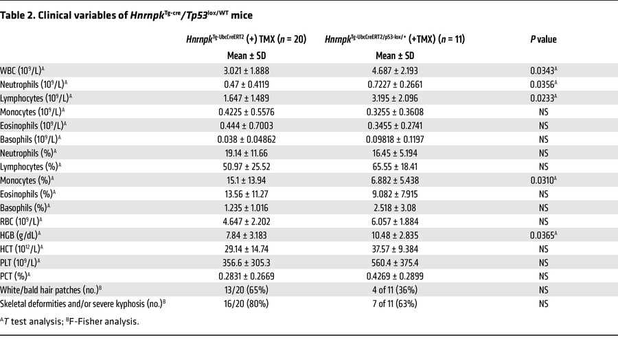 Clinical variables of HnrnpkTg-cre/Tp53lox/WT mice