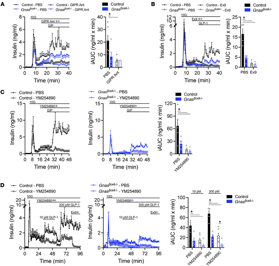 Loss of Gnas in β cells partially impairs incretin-stimulated insulin se...