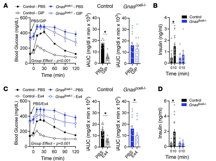 β Cell Gnas expression is necessary for incretin-stimulated insulin secr...