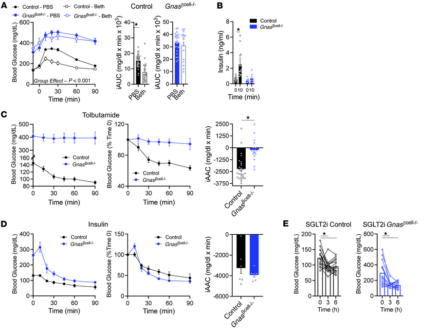 β Cell Gnas is necessary for glucose lowering in response to Gαs-indepen...
