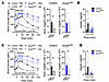 β Cell Gnas expression is necessary for incretin-stimulated insulin secreti