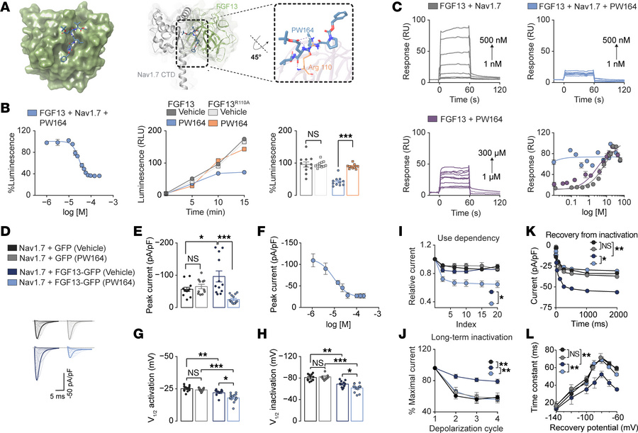 PW164 Inhibition of FGF13/Nav1.7 CTD complex formation selectively modul...