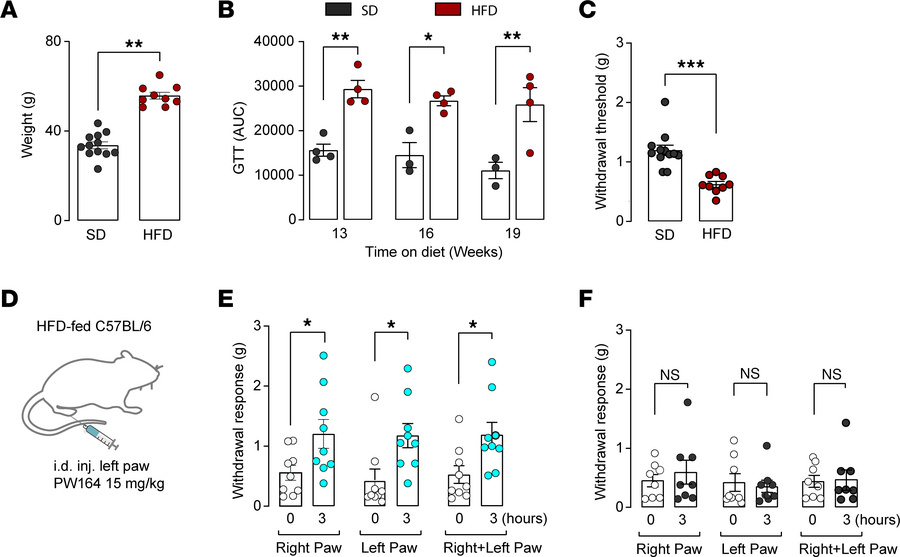 PW164 reduces mechanical hyperalgesia in the HFD-induced T2DN mouse mode...