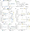 Inhibition of FGF13 exerts antinociceptive effects and mimics in vivo FGF13