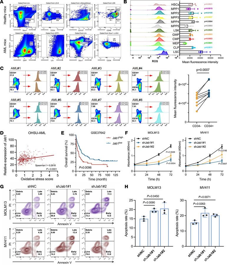 Jab1 is associated with oxidative stress and supports AML progression.
(...
