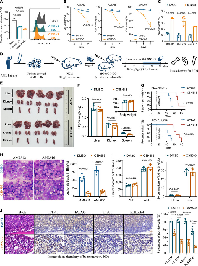 Jab1 inhibition by CSN5i-3 suppresses AML progression and prolongs survi...