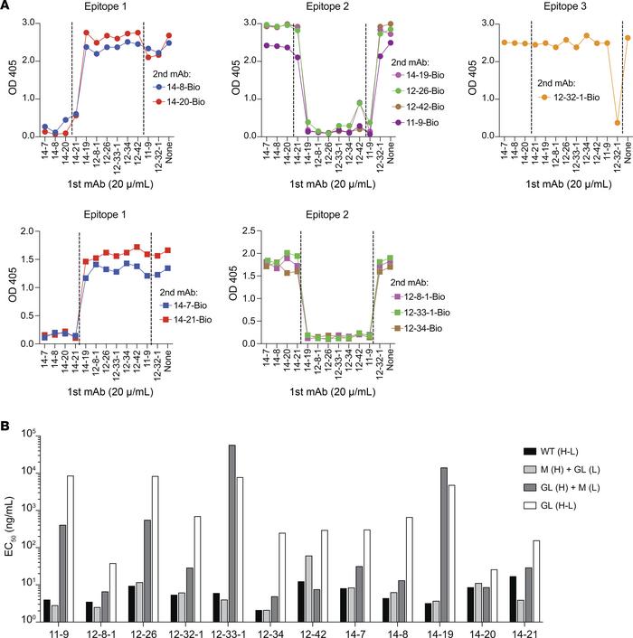 SepSecS-specific mAb recognize different epitopes and acquire high affin...