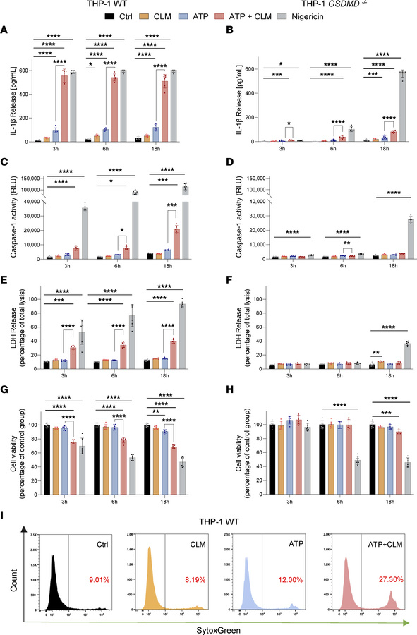 CLM potentiation effect on ATP-induced inflammasome activation and GSDMD...