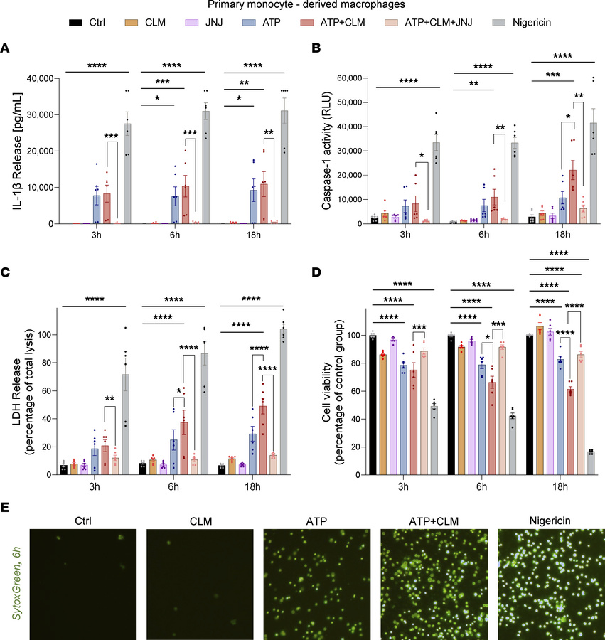 The potentiation effect of CLM on ATP-induced lytic cell death in primar...