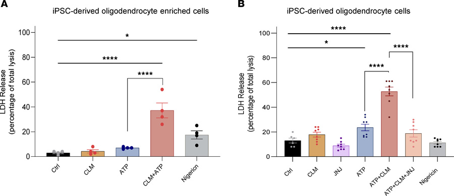 The potentiation effect of CLM on ATP-induced lytic cell death in iPSC-d...