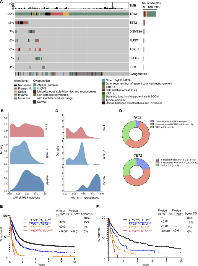 
TET2 mutations are common in TP53-mutant AML and confer an inferior out...