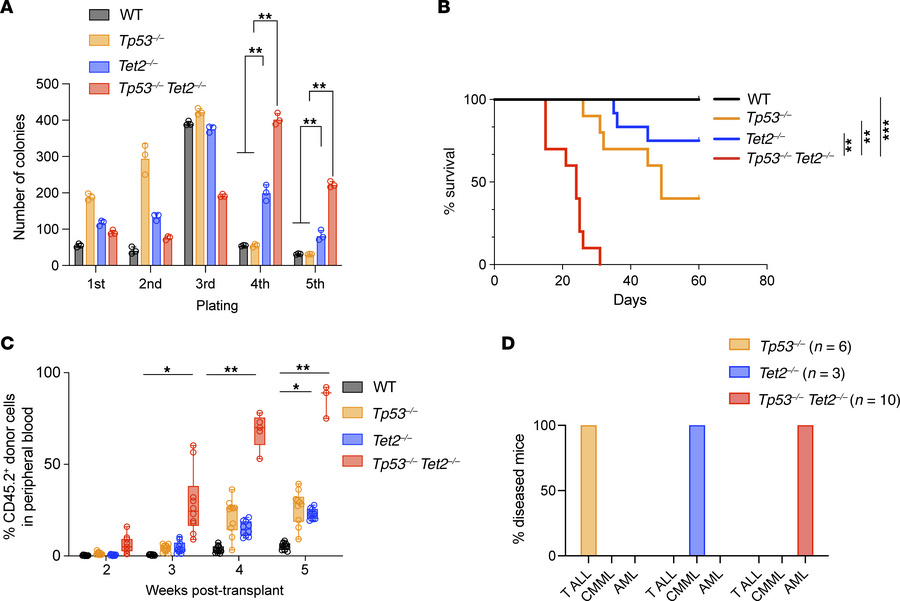 Increased hematopoietic progenitor self-renewal in Tp53/Tet2 double-KO m...